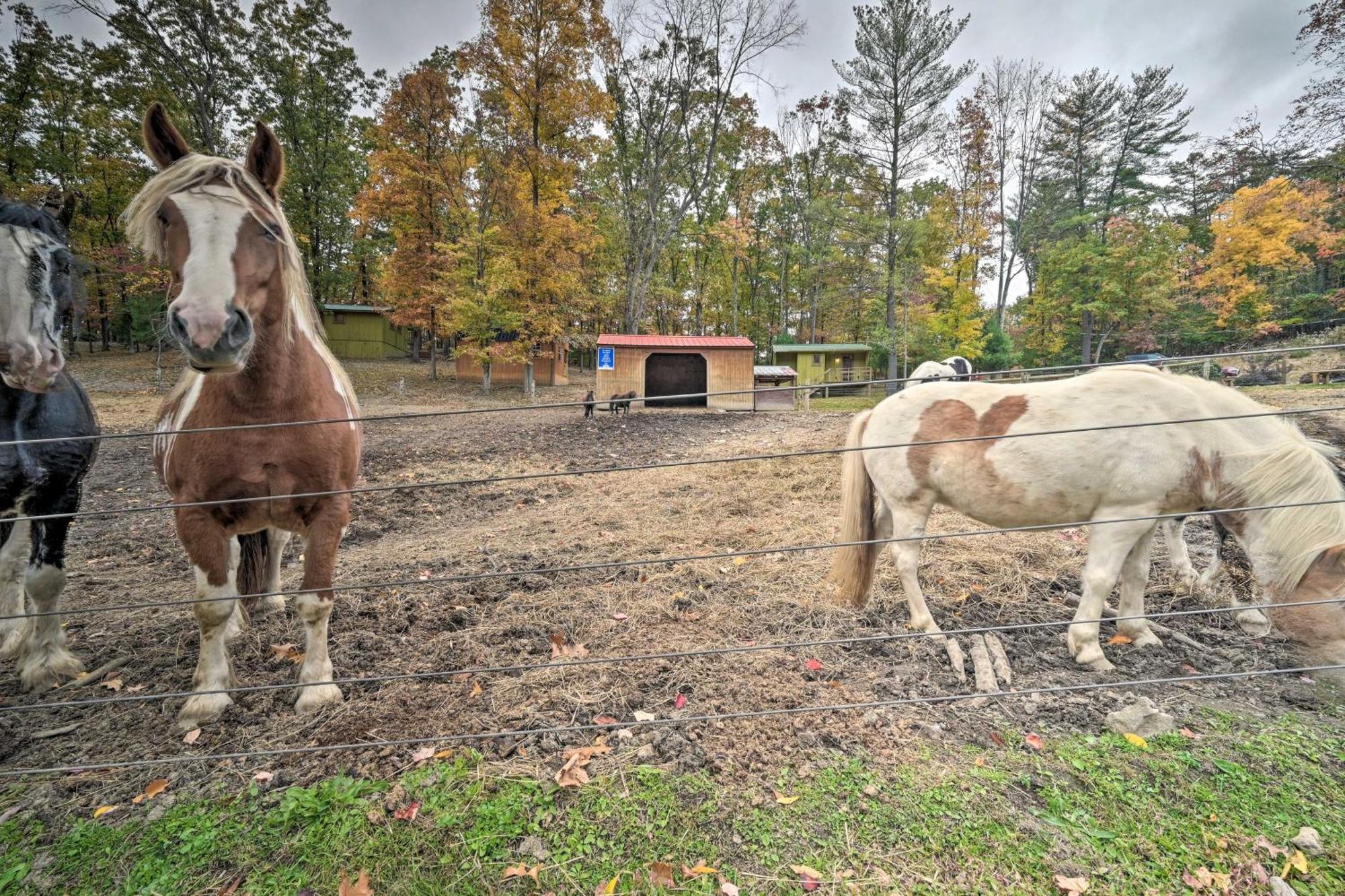 Rustic Clint Eastwood Ranch Apt By Raystown Lake Huntingdon Zewnętrze zdjęcie